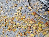 Herbst